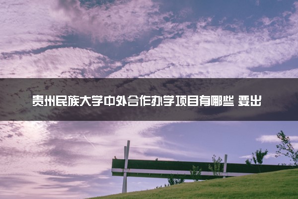 贵州民族大学中外合作办学项目有哪些 要出国吗