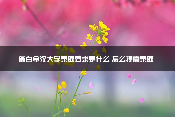 新白金汉大学录取要求是什么 怎么提高录取率