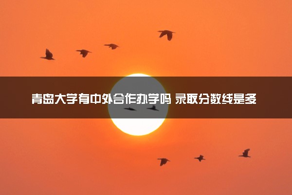 青岛大学有中外合作办学吗 录取分数线是多少