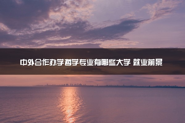 中外合作办学哲学专业有哪些大学 就业前景怎么样