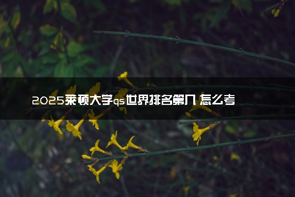 2025莱顿大学qs世界排名第几 怎么考进去