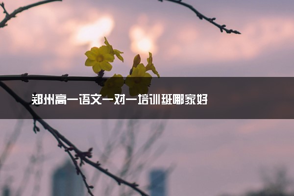 郑州高一语文一对一培训班哪家好