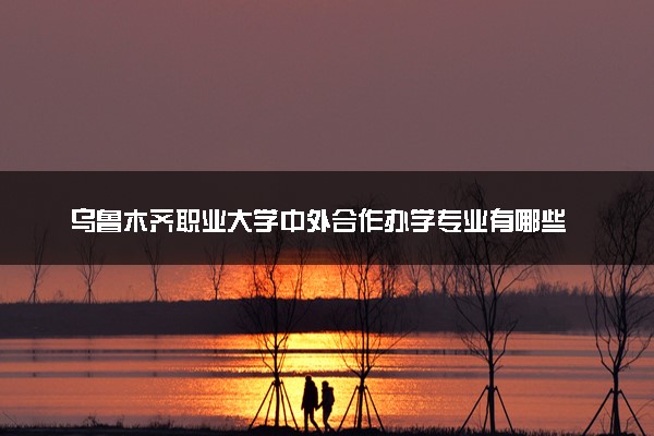 乌鲁木齐职业大学中外合作办学专业有哪些 好就业吗