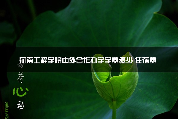 河南工程学院中外合作办学学费多少 住宿费多少