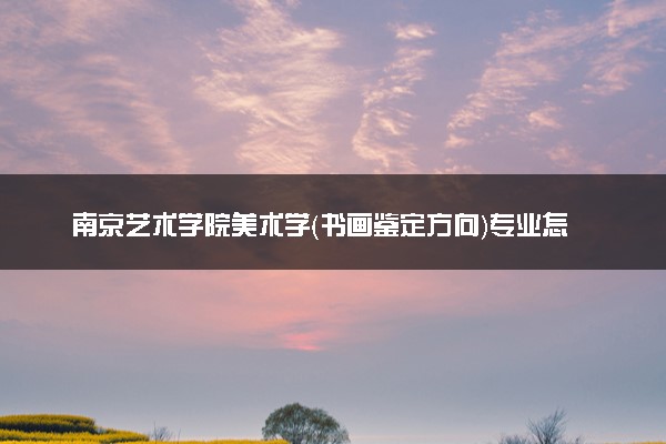 南京艺术学院美术学（书画鉴定方向）专业怎么样 录取分数线多少