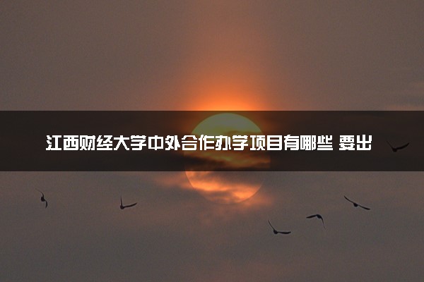 江西财经大学中外合作办学项目有哪些 要出国吗