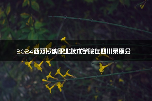 2024西双版纳职业技术学院在四川录取分数线 各专业分数及位次