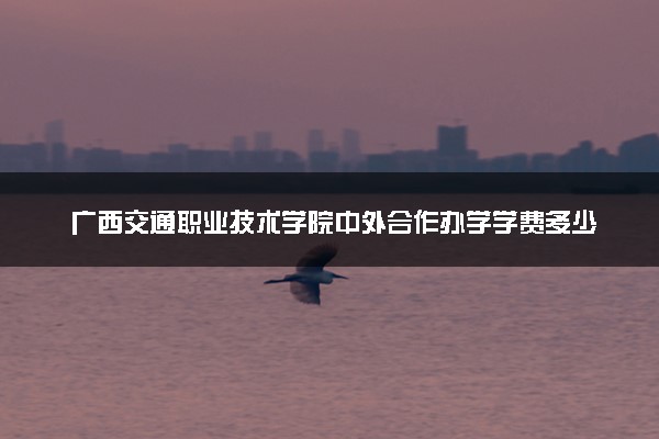 广西交通职业技术学院中外合作办学学费多少钱 各专业收费标准