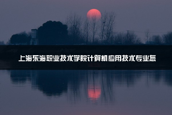 上海东海职业技术学院计算机应用技术专业怎么样 录取分数线多少