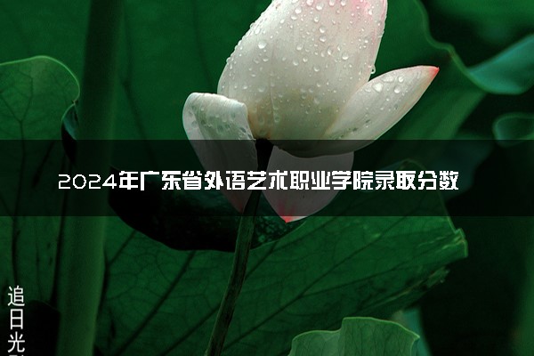 2024年广东省外语艺术职业学院录取分数线是多少 各省最低分数线及位次