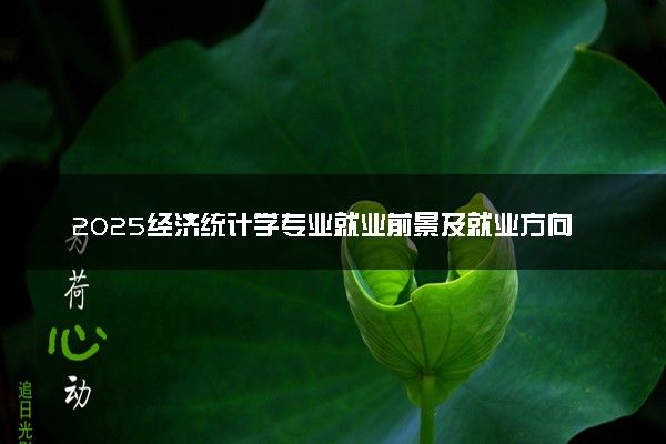 2025经济统计学专业就业前景及就业方向最新 好找工作吗