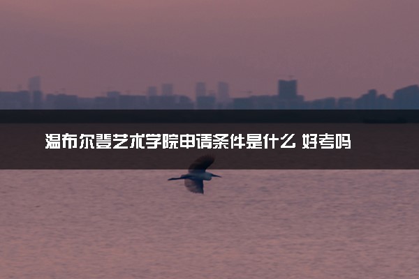 温布尔登艺术学院申请条件是什么 好考吗