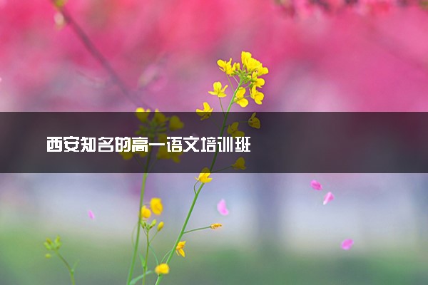 西安知名的高一语文培训班