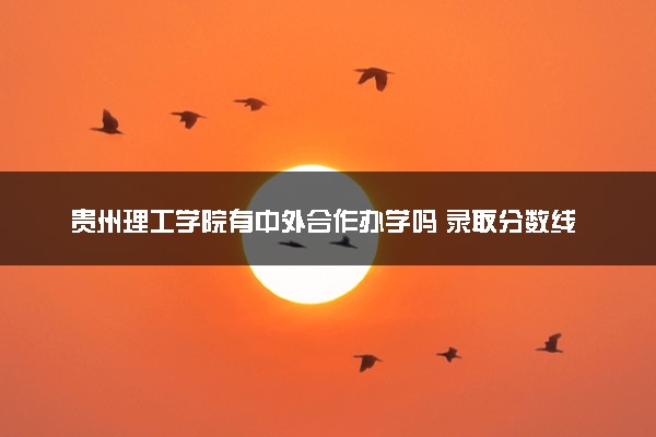 贵州理工学院有中外合作办学吗 录取分数线是多少
