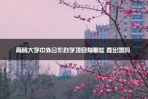 南昌大学中外合作办学项目有哪些 要出国吗