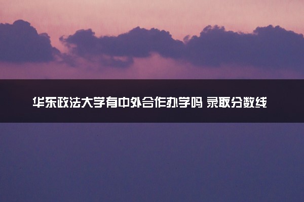 华东政法大学有中外合作办学吗 录取分数线是多少