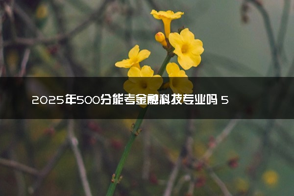2025年500分能考金融科技专业吗 500分金融科技专业大学推荐