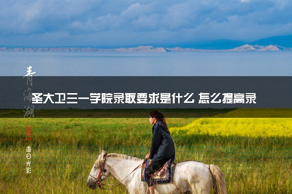 圣大卫三一学院录取要求是什么 怎么提高录取率
