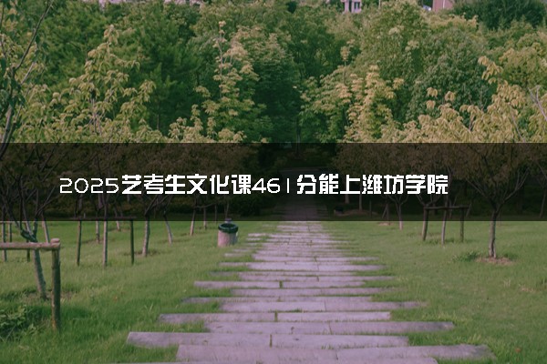 2025艺考生文化课461分能上潍坊学院吗