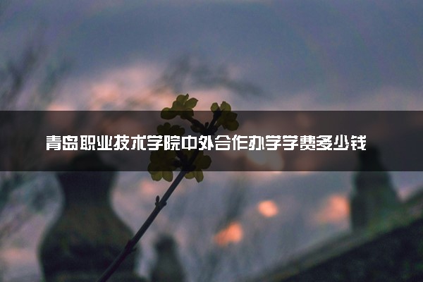 青岛职业技术学院中外合作办学学费多少钱 各专业收费标准