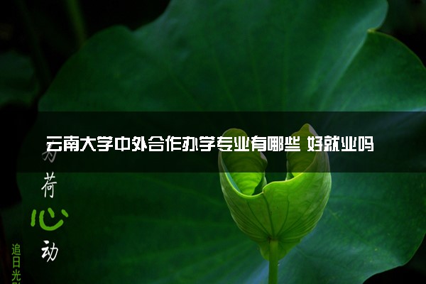 云南大学中外合作办学专业有哪些 好就业吗