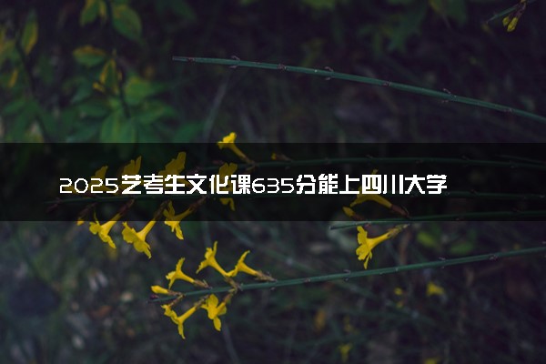 2025艺考生文化课635分能上四川大学吗