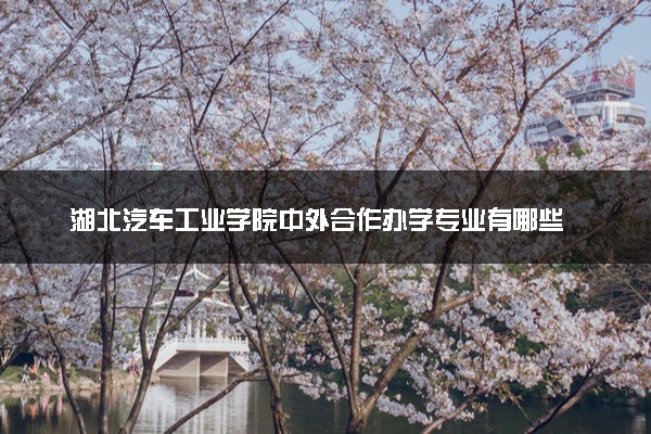 湖北汽车工业学院中外合作办学专业有哪些 好就业吗