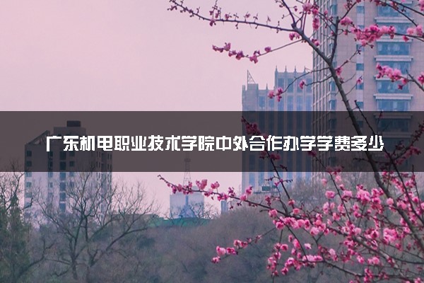 广东机电职业技术学院中外合作办学学费多少钱 各专业收费标准