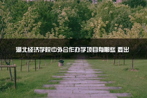 湖北经济学院中外合作办学项目有哪些 要出国吗