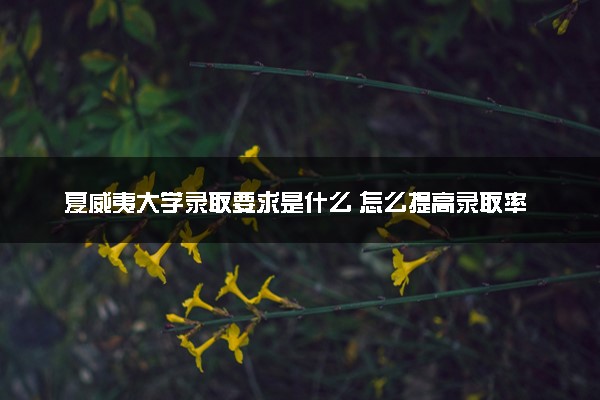 夏威夷大学录取要求是什么 怎么提高录取率