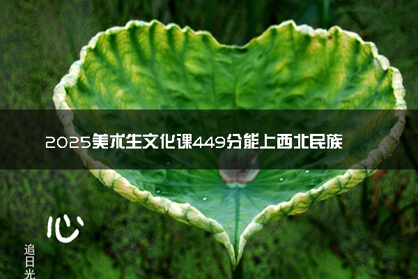 2025美术生文化课449分能上西北民族大学吗