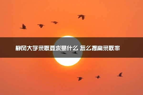 静冈大学录取要求是什么 怎么提高录取率
