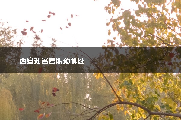 西安知名暑期预科班
