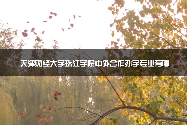 天津财经大学珠江学院中外合作办学专业有哪些 好就业吗