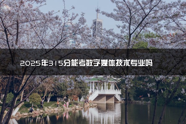 2025年315分能考数字媒体技术专业吗 315分数字媒体技术专业大学推荐