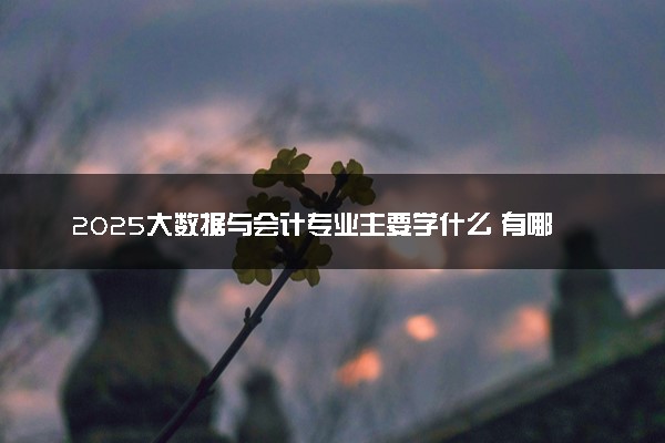 2025大数据与会计专业主要学什么 有哪些课程