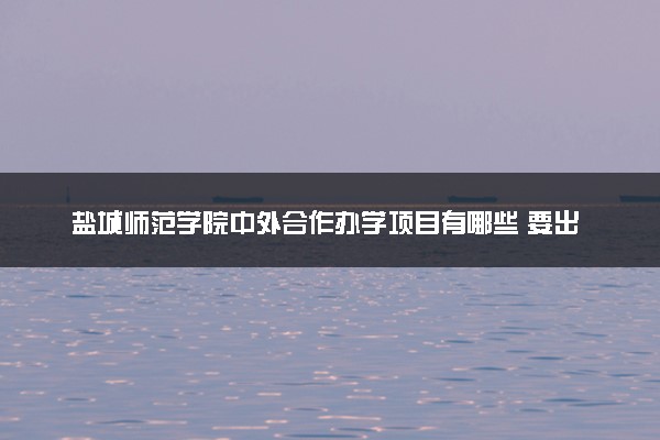 盐城师范学院中外合作办学项目有哪些 要出国吗