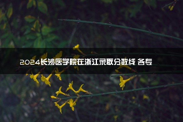 2024长沙医学院在浙江录取分数线 各专业分数及位次