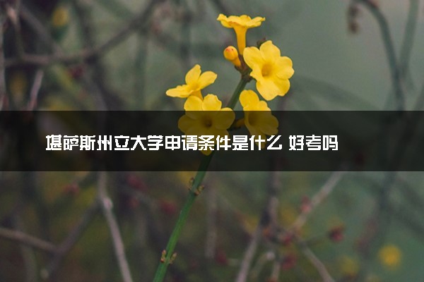 堪萨斯州立大学申请条件是什么 好考吗