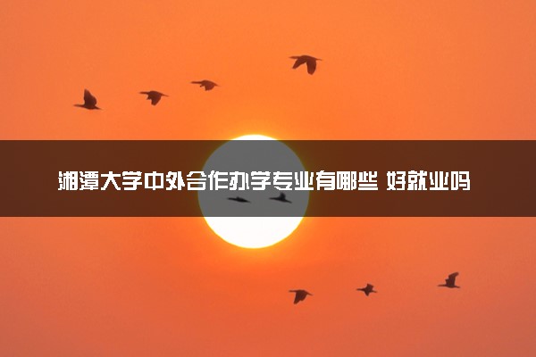 湘潭大学中外合作办学专业有哪些 好就业吗