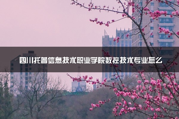 四川托普信息技术职业学院数控技术专业怎么样 录取分数线多少