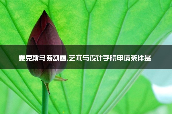 麦克斯马特动画，艺术与设计学院申请条件是什么 好考吗