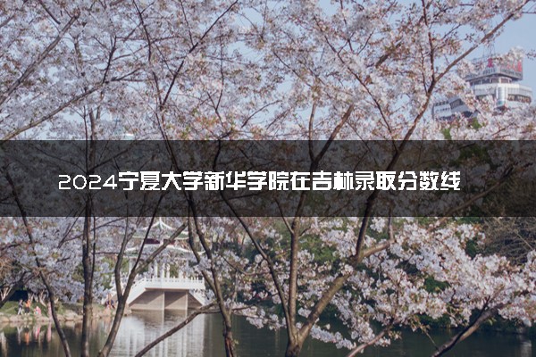 2024宁夏大学新华学院在吉林录取分数线 各专业分数及位次