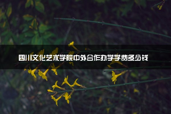 四川文化艺术学院中外合作办学学费多少钱 各专业收费标准