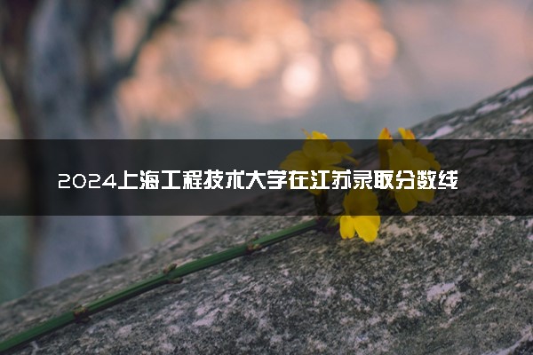 2024上海工程技术大学在江苏录取分数线 各专业分数及位次