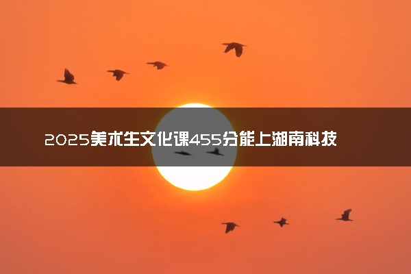 2025美术生文化课455分能上湖南科技学院吗