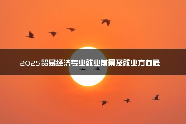 2025贸易经济专业就业前景及就业方向最新 好找工作吗