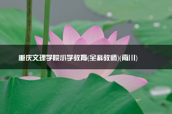 重庆文理学院小学教育（全科教师）（南川）专业怎么样 录取分数线多少