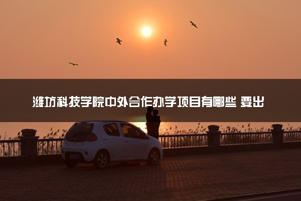 潍坊科技学院中外合作办学项目有哪些 要出国吗