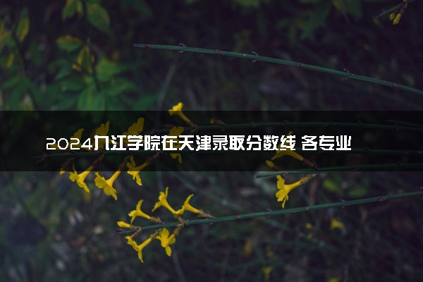 2024九江学院在天津录取分数线 各专业分数及位次